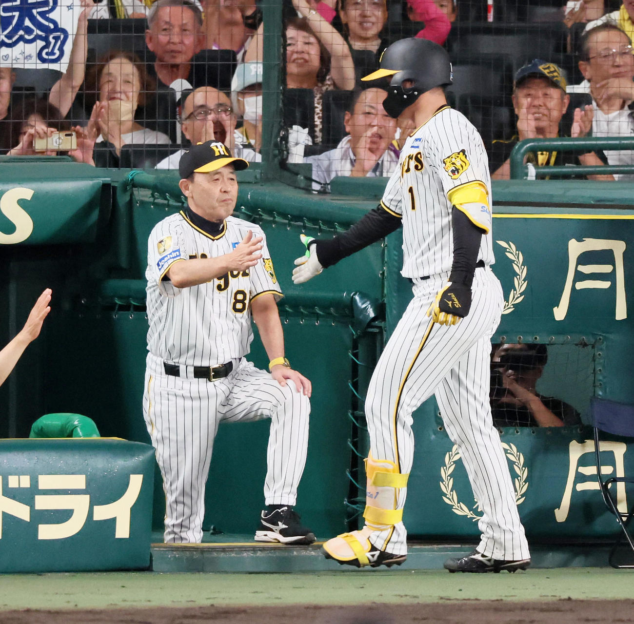 阪神対DeNA 5回裏阪神1死、岡田監督は左越えソロ本塁打を放って生還する森下をベンチで出迎える（撮影・加藤哉）