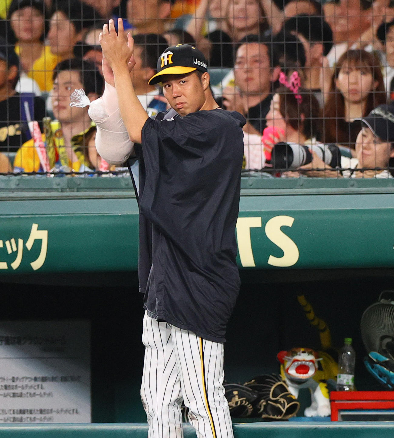 阪神対DeNA 6回裏阪神無死満塁、近本の右前適時打で拍手を送る青柳（撮影・上山淳一）