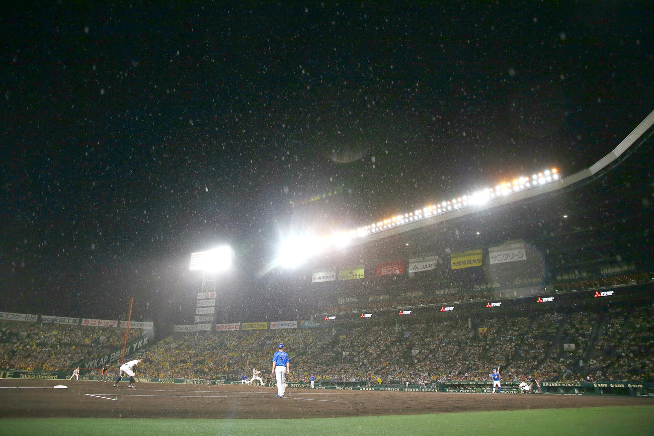 阪神対DeNA 4回表、雨の中、力投する阪神先発の青柳（撮影・上山淳一）