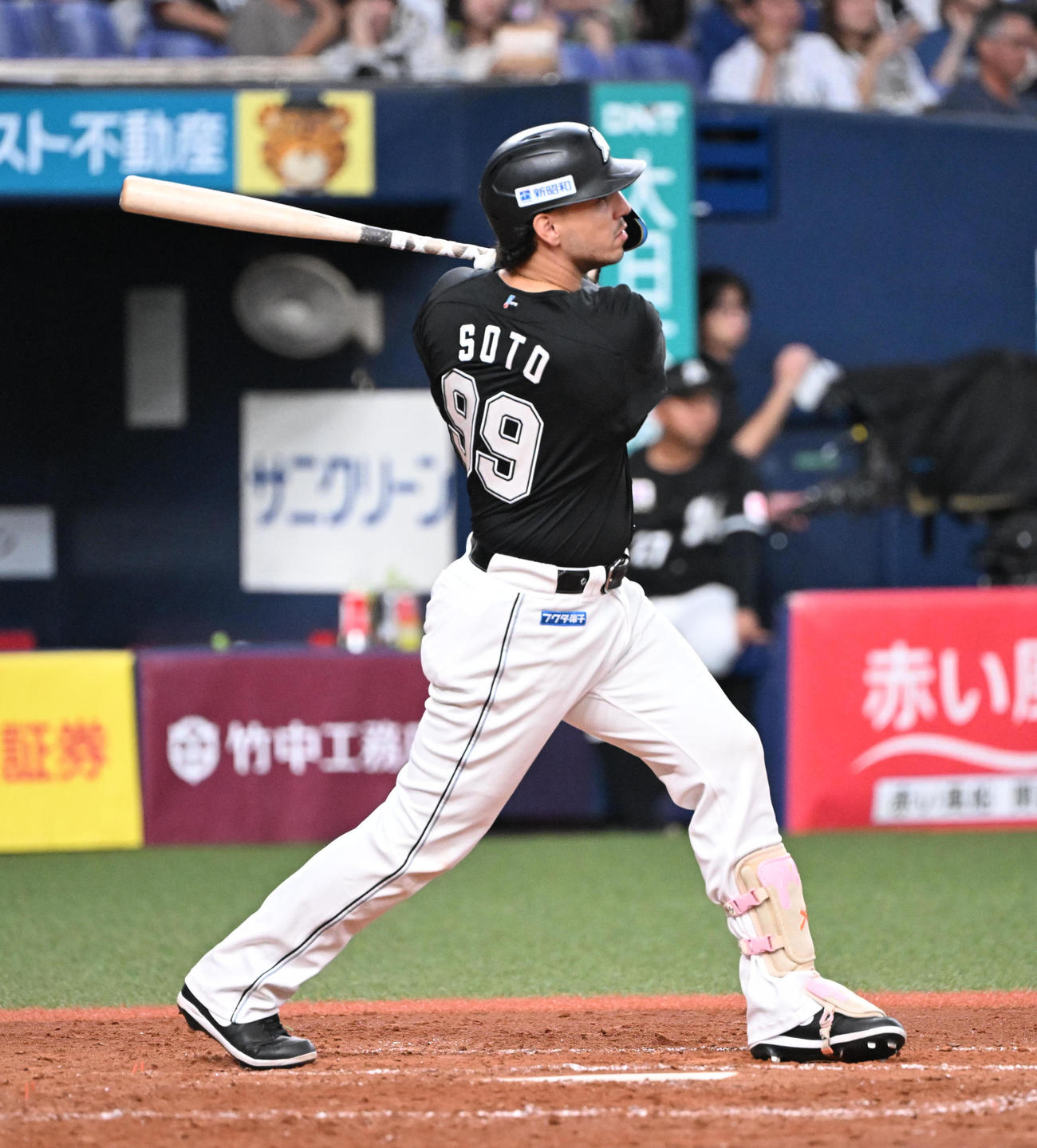 オリックス対ロッテ　5回表ロッテ無死、中越えにソロ本塁打を放つソト（撮影・和賀正仁）