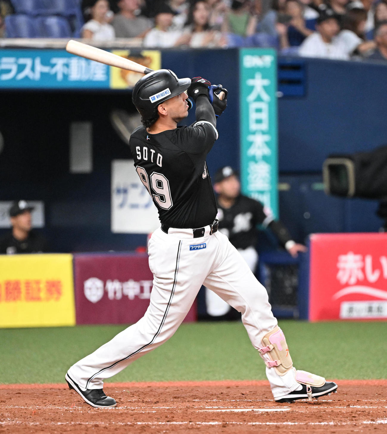 オリックス対ロッテ　4回表ロッテ無死、左中間にソロ本塁打を放つソト（撮影・和賀正仁）