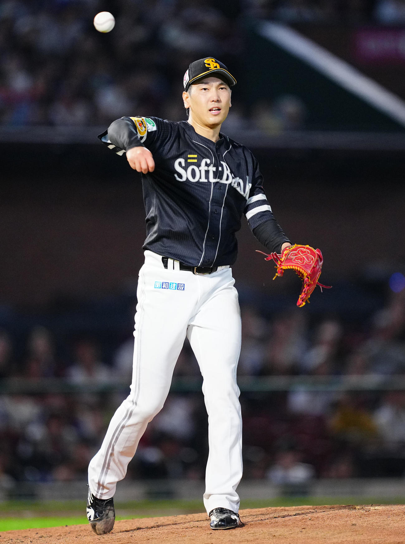 楽天対ソフトバンク　7回裏楽天無死、鈴木の打球が足に直撃するも懸命に一塁へ送球し投ゴロに仕留める石川（撮影・垰建太）
