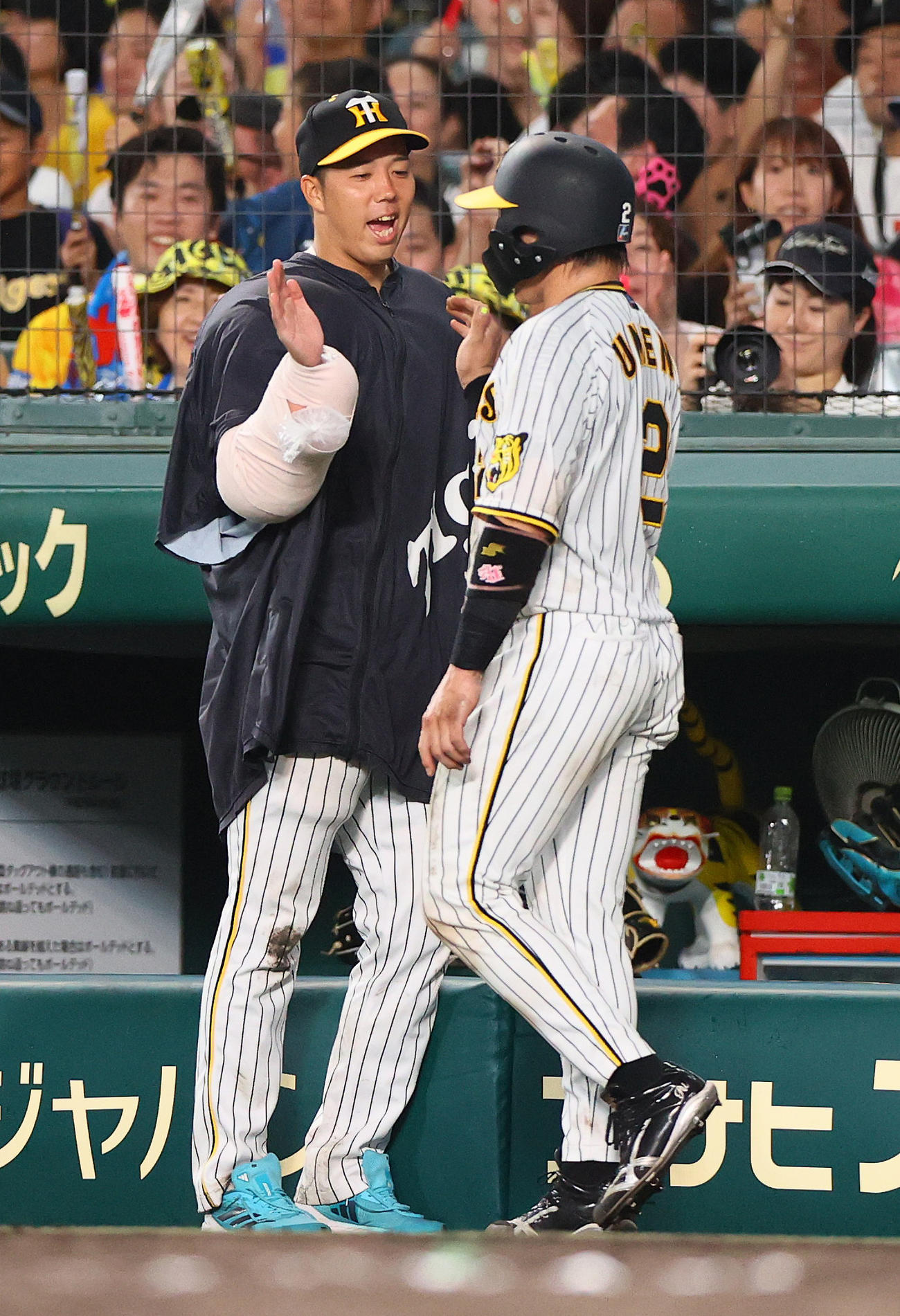阪神対DeNA 6回裏阪神無死満塁、青柳（左）は近本の右前適時打で生還した梅野を出迎える（撮影・上山淳一）