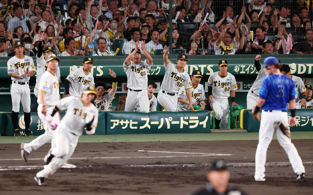 阪神対DeNA  2回裏阪神2死三塁、梅野の中適時二塁打にベンチで盛り上がる選手たち（撮影・加藤哉）