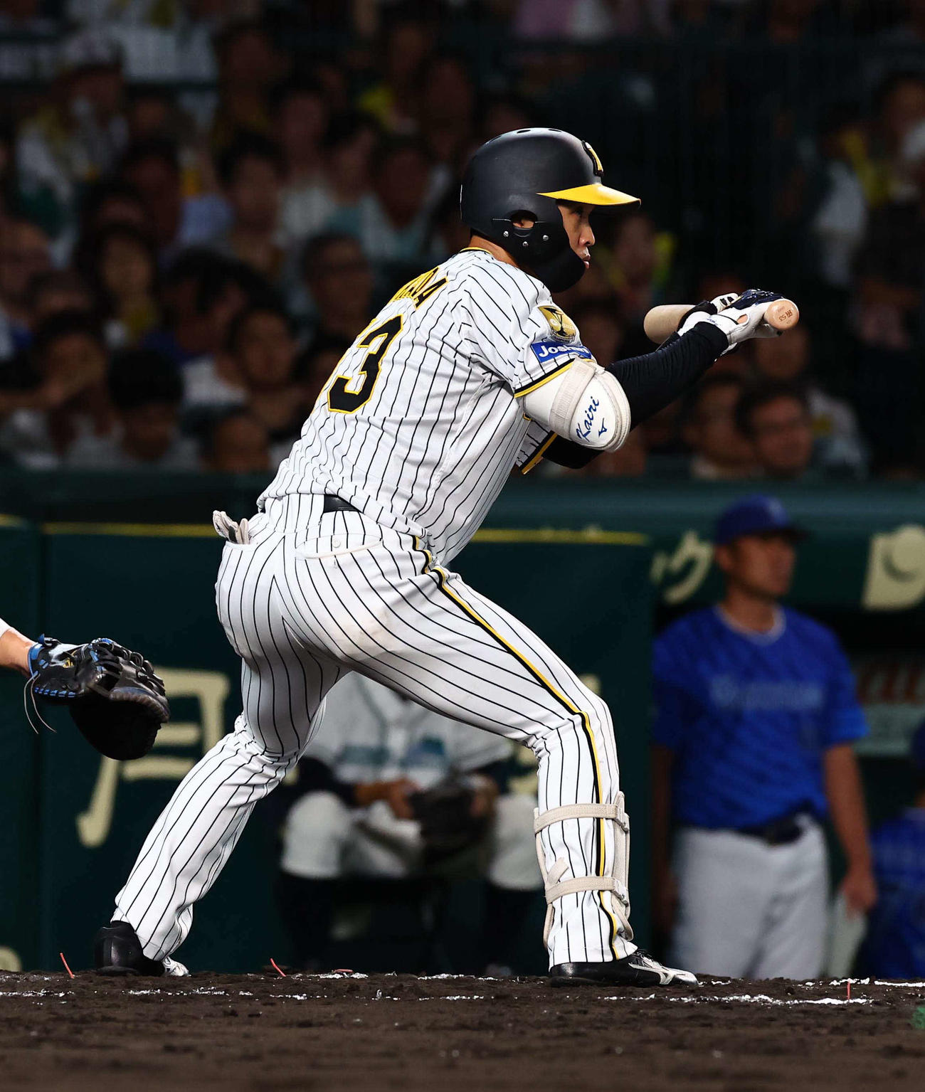 阪神対DeNA 6回裏阪神無死一、二塁、島田はバントの構えをする（撮影・上田博志）