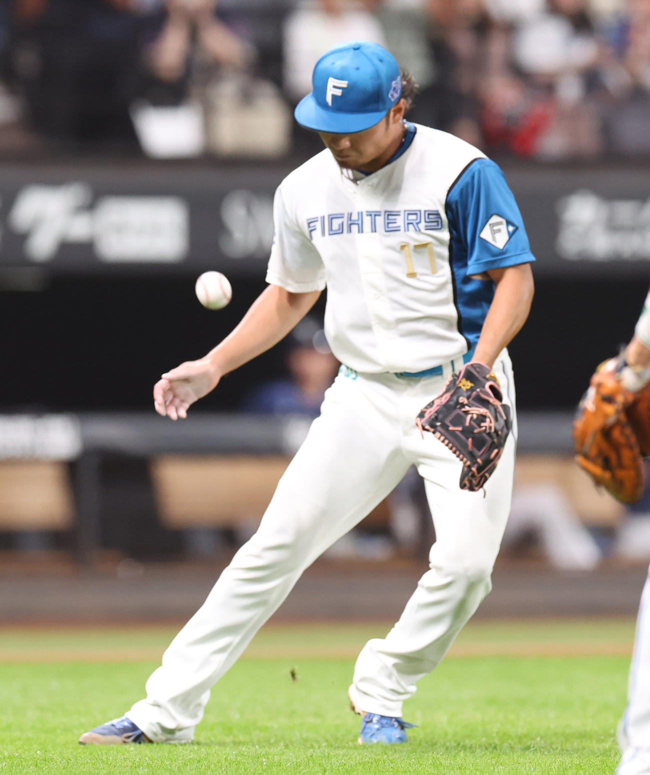 日本ハム対西武　8回表西武1死一塁、柘植のバントをあえて捕球せず落とす伊藤（撮影・佐藤翔太）
