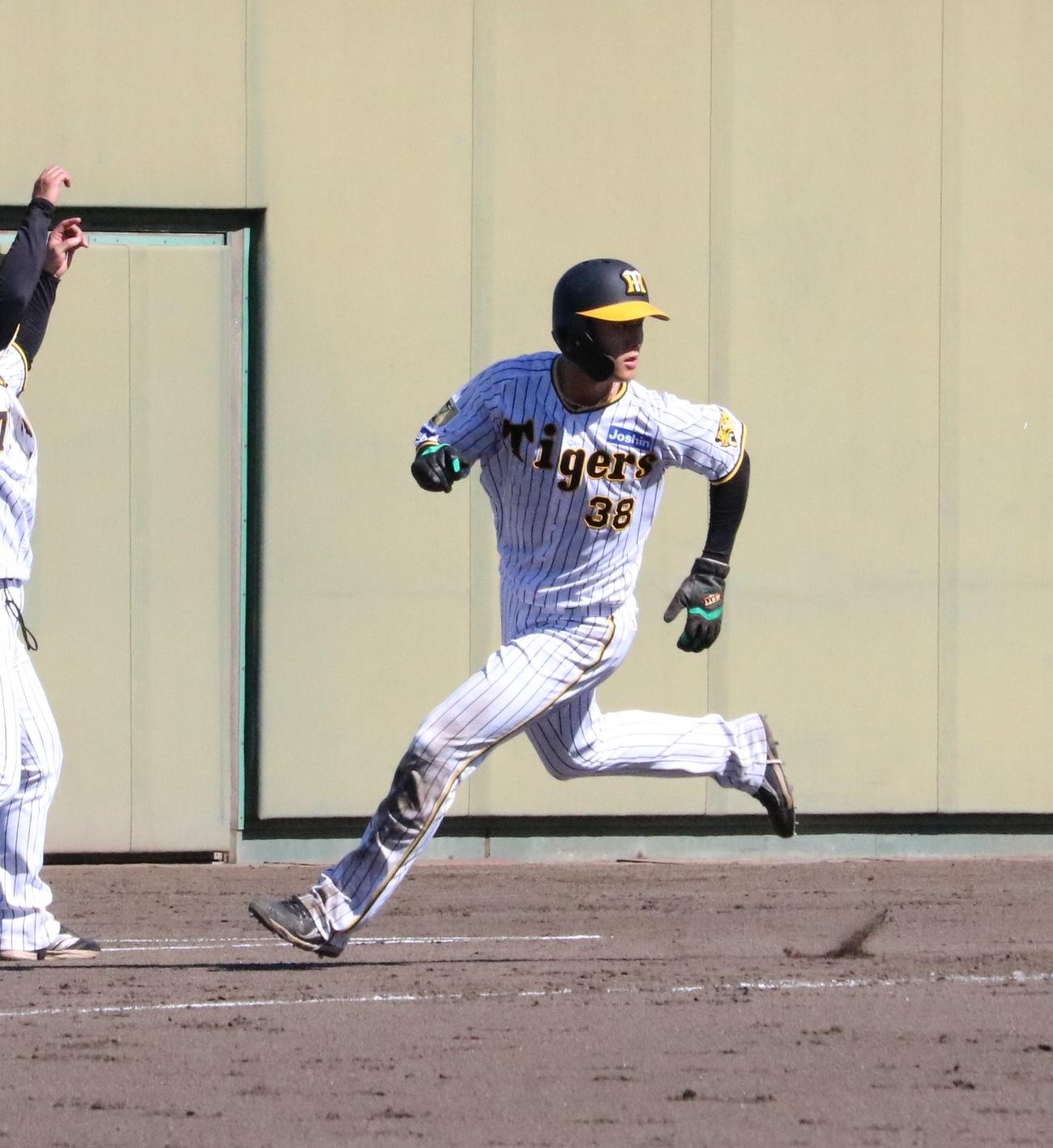 阪神対日本海リーグ選抜　阪神の小幡竜平内野手が代走で実戦復帰を果たす（撮影・林亮佑）＝2024年9月11日、鳴尾浜球場