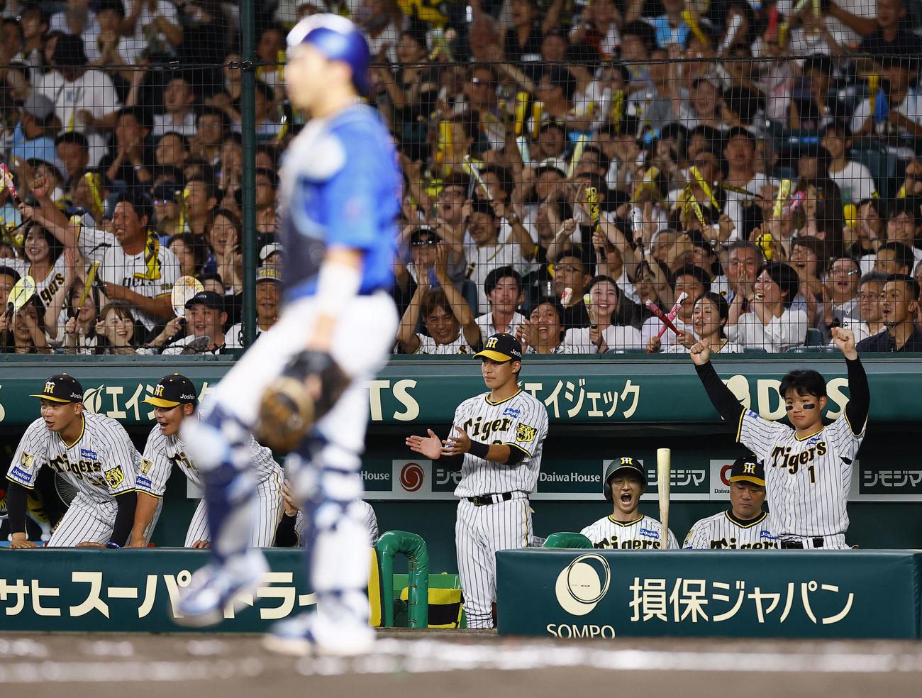 阪神対DeNA 6回裏阪神1死一、三塁、坂本の投前スクイズに、ベンチでガッツポーズをする森下（右端）ら阪神ナイン（撮影・藤尾明華）