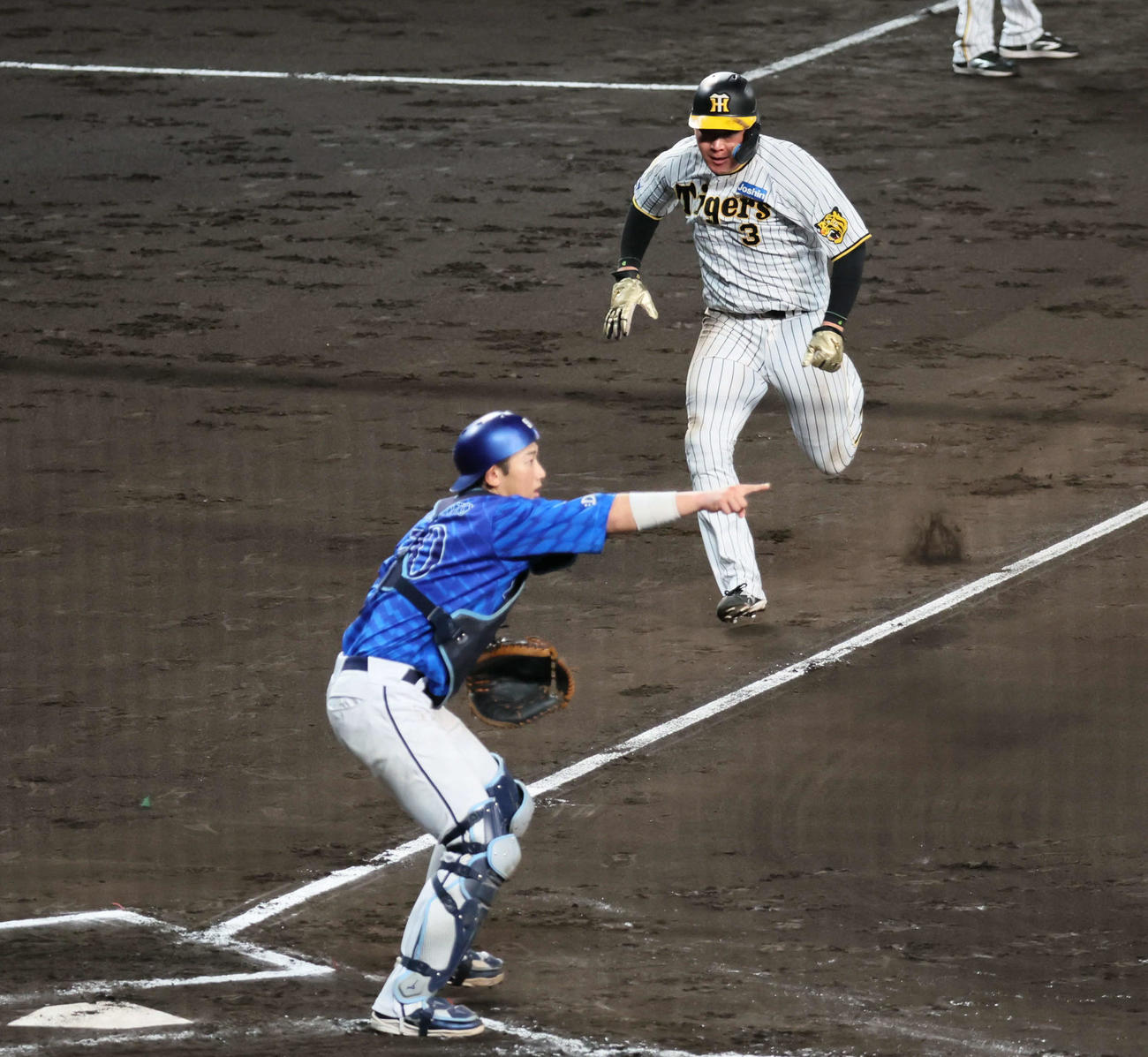 阪神対DeNA 6回裏阪神1死一、三塁、大山は左坂本のスクイズで生還する（撮影・宮崎幸一）