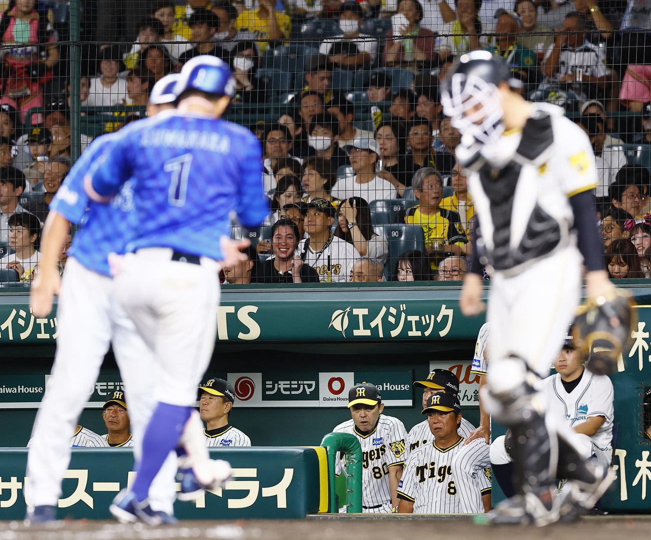 阪神対DeNA 8回表DeNA無死、桑原に勝ち越し本塁打を浴び、ベンチから見つめる岡田監督（中央）（撮影・藤尾明華）
