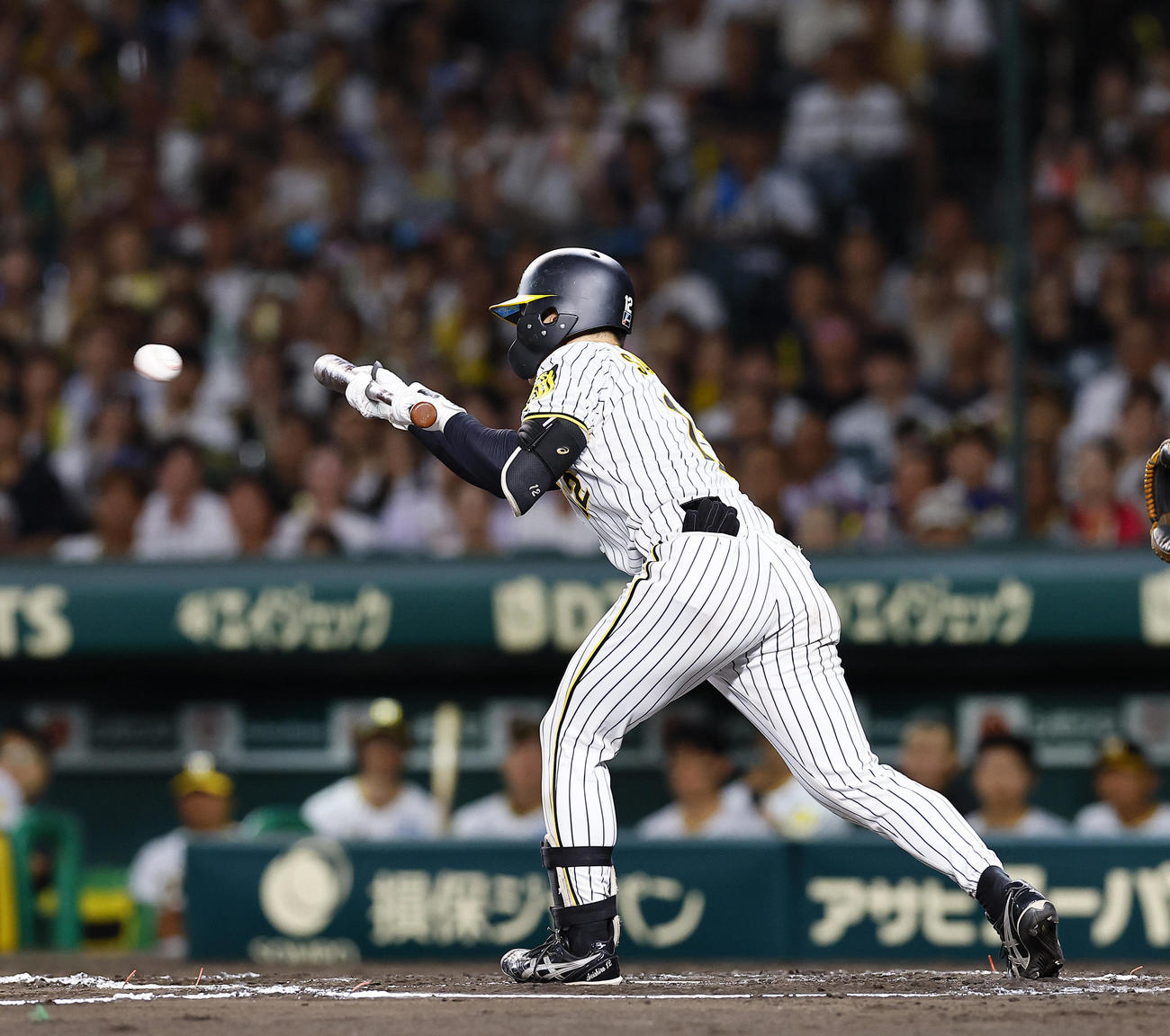 阪神対DeNA 6回裏阪神1死一、三塁、投前スクイズを決める坂本（撮影・藤尾明華）