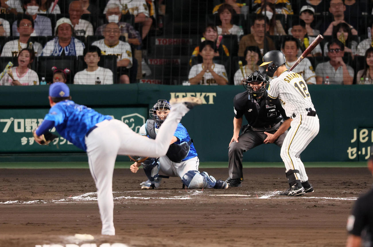 阪神対DeNA 6回裏阪神1死一、三塁、坂本は初球を見送る。投手山崎（撮影・加藤哉）