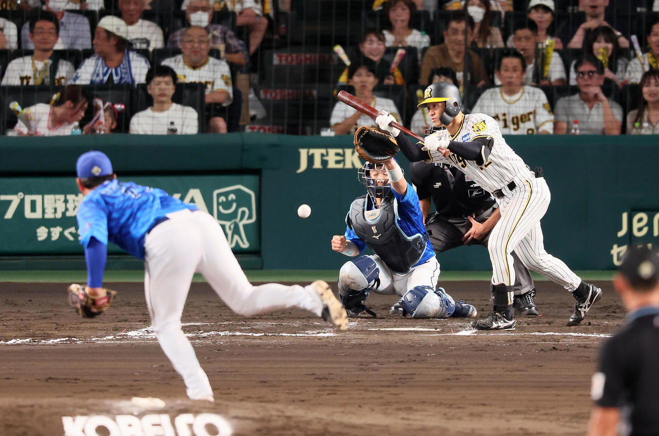 阪神対DeNA 6回裏阪神1死一、三塁、坂本はセーフティースクイス成功。投手山崎（撮影・加藤哉）