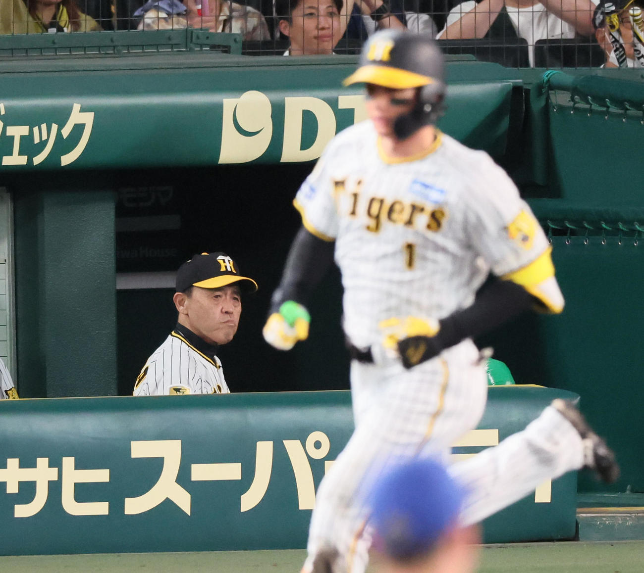 阪神対DeNA 6回裏阪神無死、岡田監督は左越えソロ本塁打を放った森下の打球を見る（撮影・加藤哉）