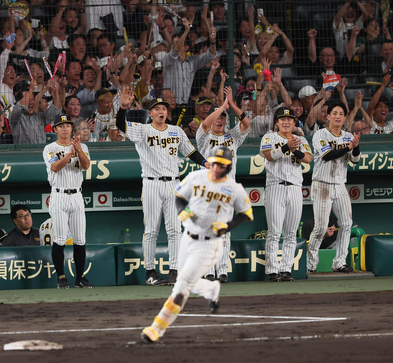 阪神対DeNA 6回裏阪神無死、森下の左越えソロ本塁打に笑顔を見せるベンチのナイン（撮影・加藤哉）