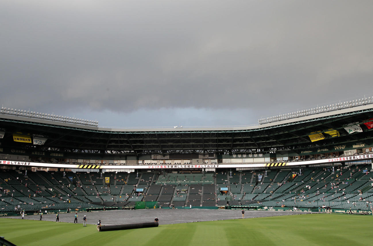 阪神対DeNA　グラウンドにシートが掛けられた甲子園球場（撮影・加藤哉）