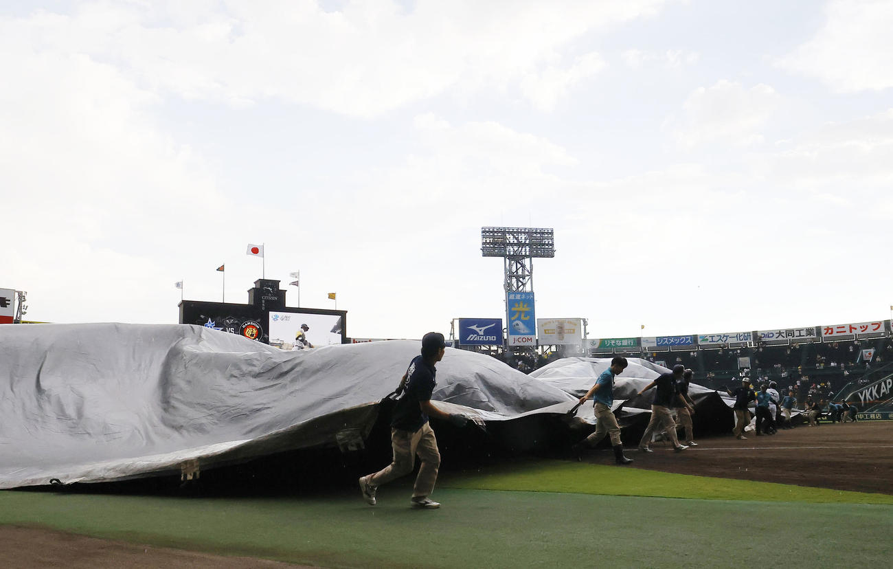 阪神対DeNA　グラウンドにシートが張られる甲子園球場（撮影・藤尾明華）