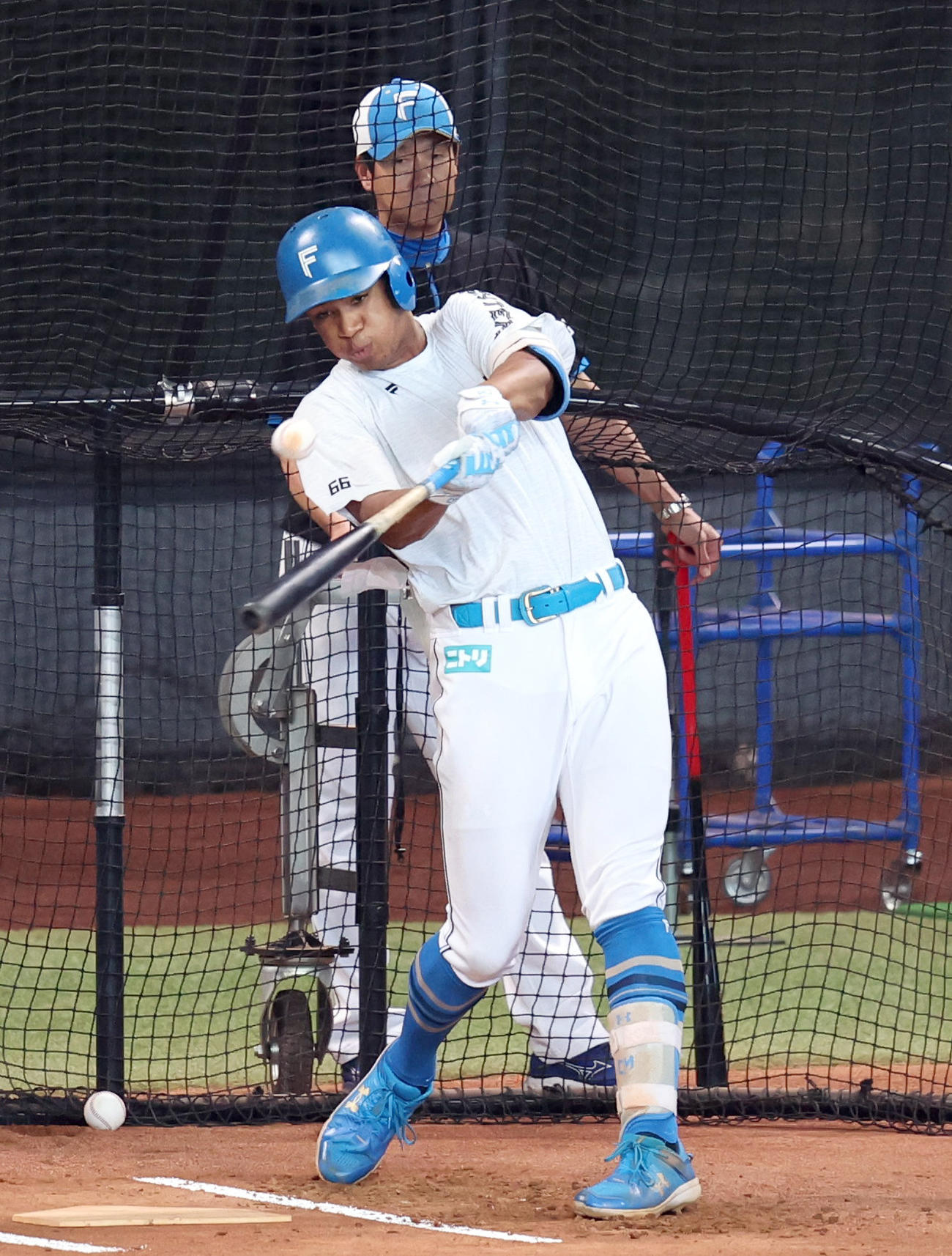 打撃練習をする日本ハム万波（撮影・佐藤翔太）