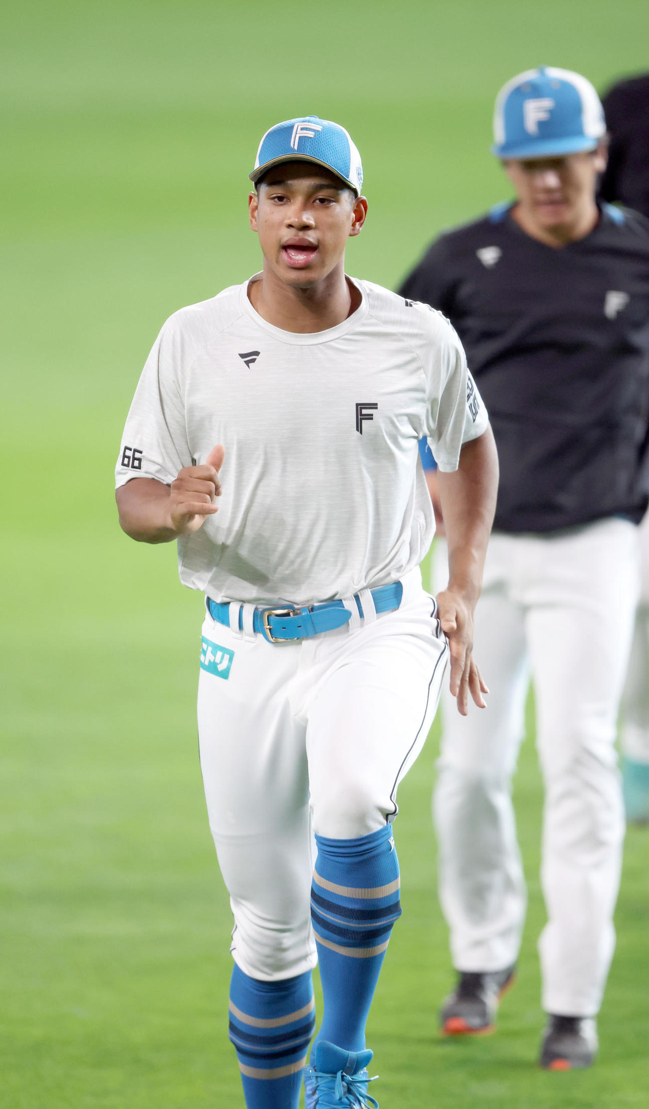 ウオーミングアップをする日本ハム万波（撮影・佐藤翔太）