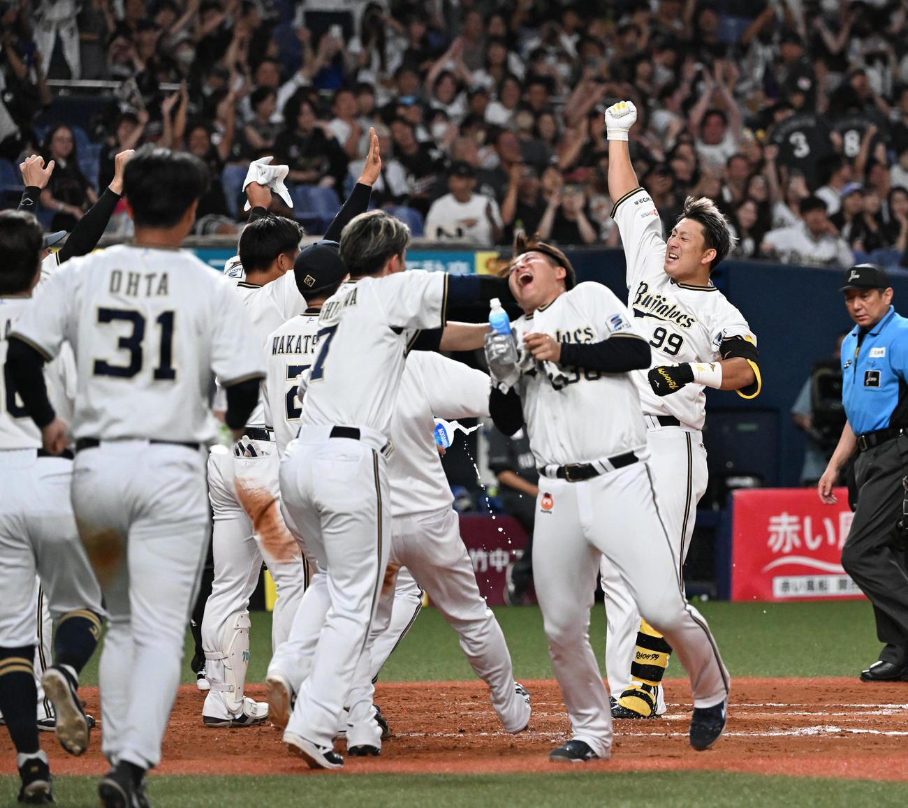 オリックス対ロッテ　9回裏オリックス2死、右中間にサヨナラ本塁打を放った杉本は昇天ポーズをしながら生還する（2024年8月23日撮影）
