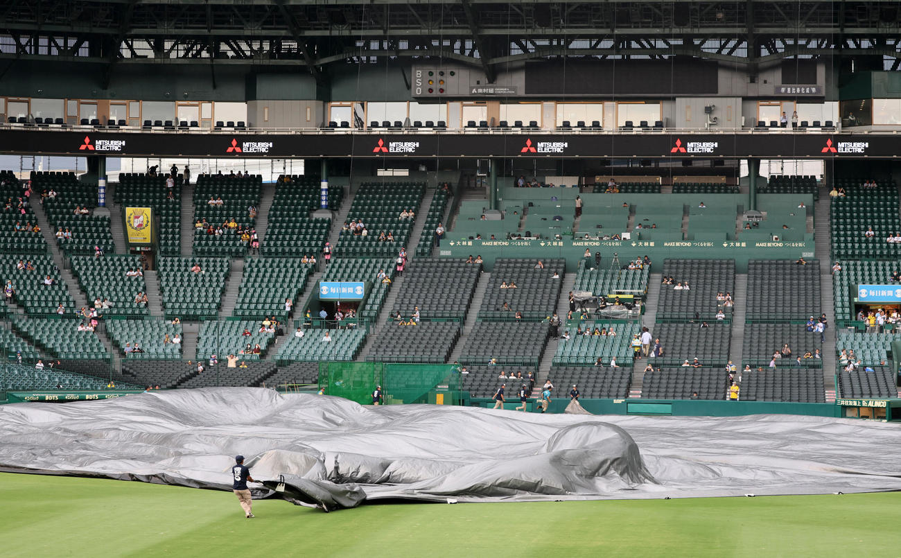 阪神対DeNA　グラウンドにシートが掛けられた甲子園球場（撮影・加藤哉）