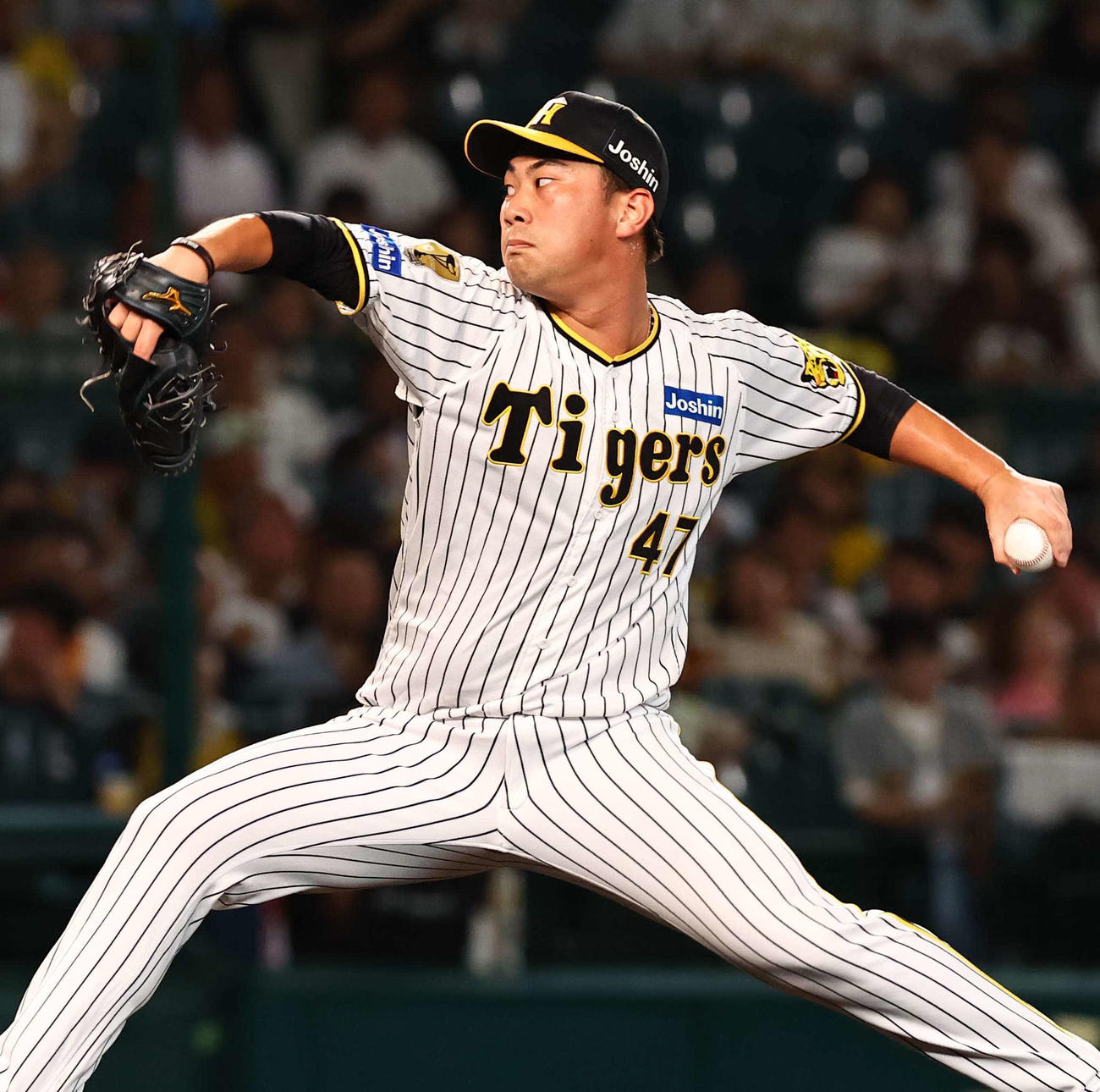 阪神桐敷拓馬（2024年9月10日撮影）