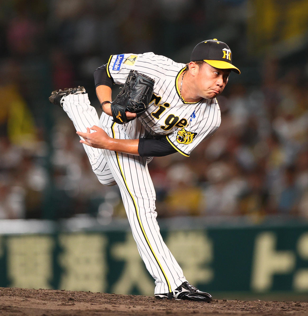 阪神桐敷拓馬（2024年9月10日撮影）