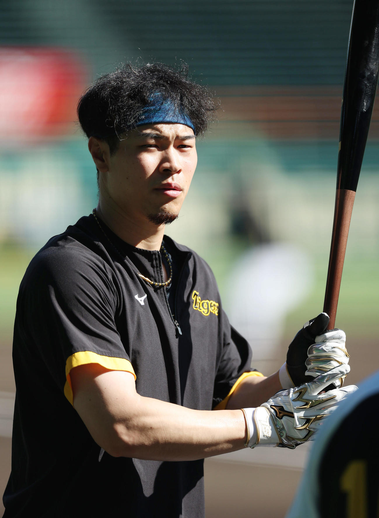 阪神対DeNA　打撃練習を行う阪神佐藤輝（撮影・前田充）