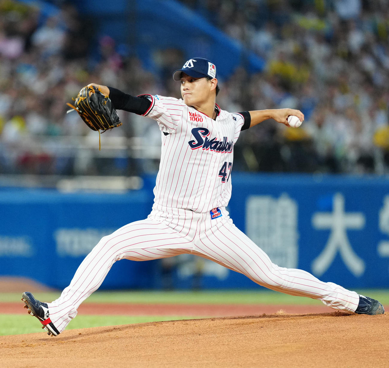 ヤクルト高橋奎二（2024年9月7日撮影）