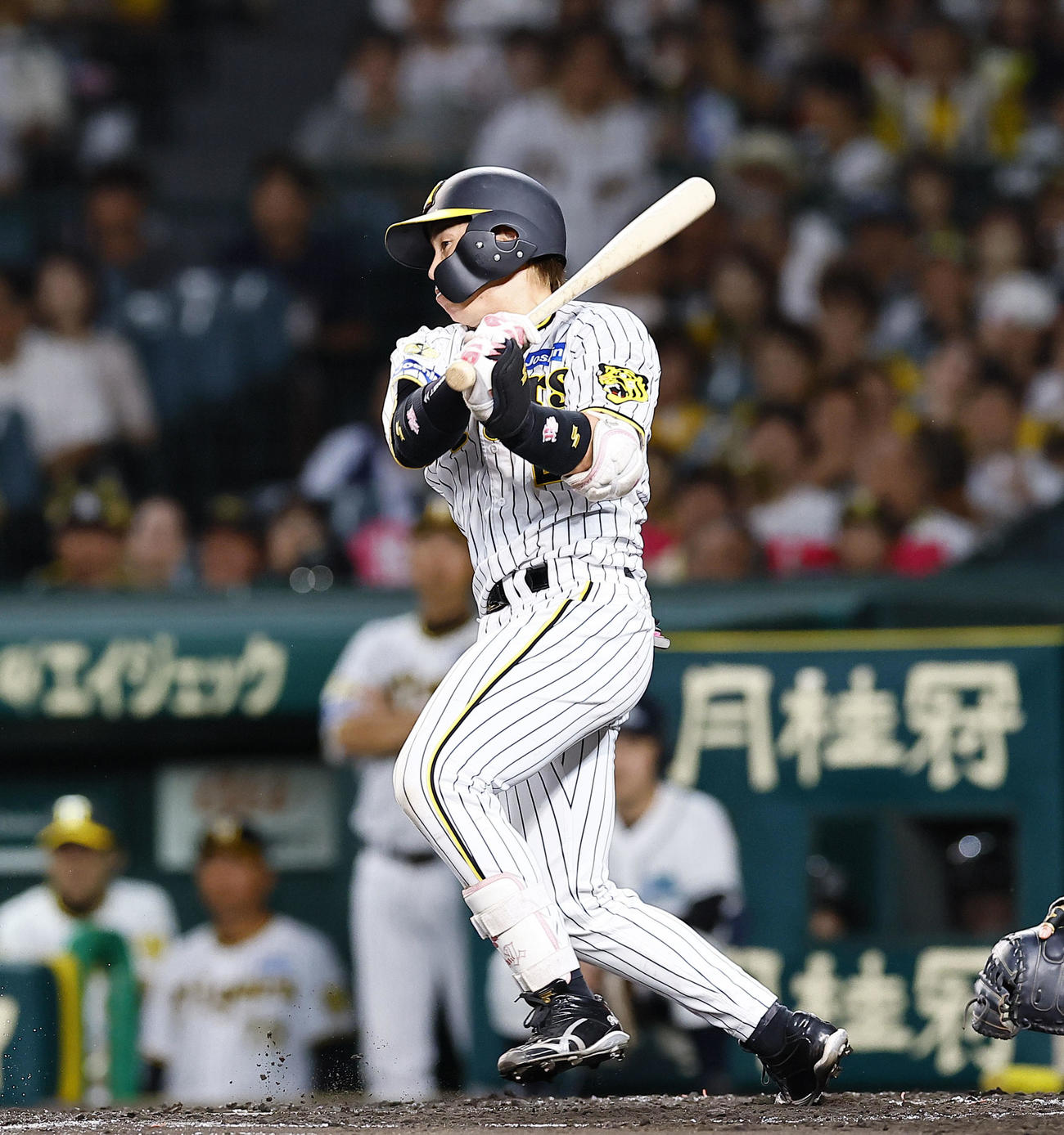 阪神対広島　2回裏阪神1死一塁、梅野は遊ゴロ内野安打を放つ（撮影・藤尾明華）