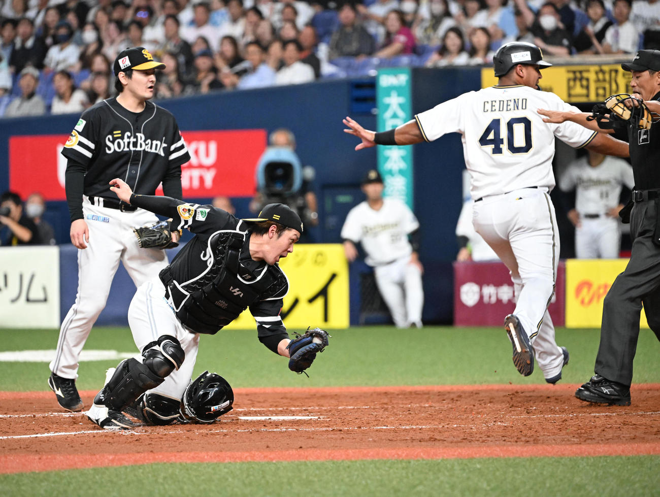 オリックス対ソフトバンク　2回裏オリックス1死二、三塁、打者若月の時、セデーニョは三本間にはさまれたものの相手失策で生還する、捕手甲斐（撮影・和賀正仁）