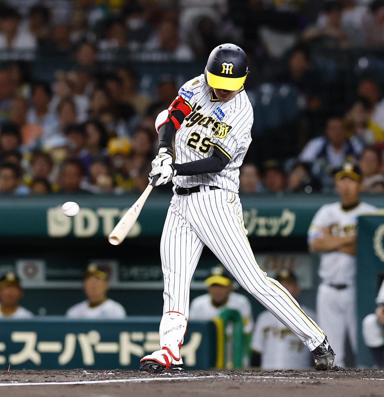 阪神対広島　2回裏阪神2死一、二塁、高橋は投手踏襲の内野安打を放つ（撮影・藤尾明華）