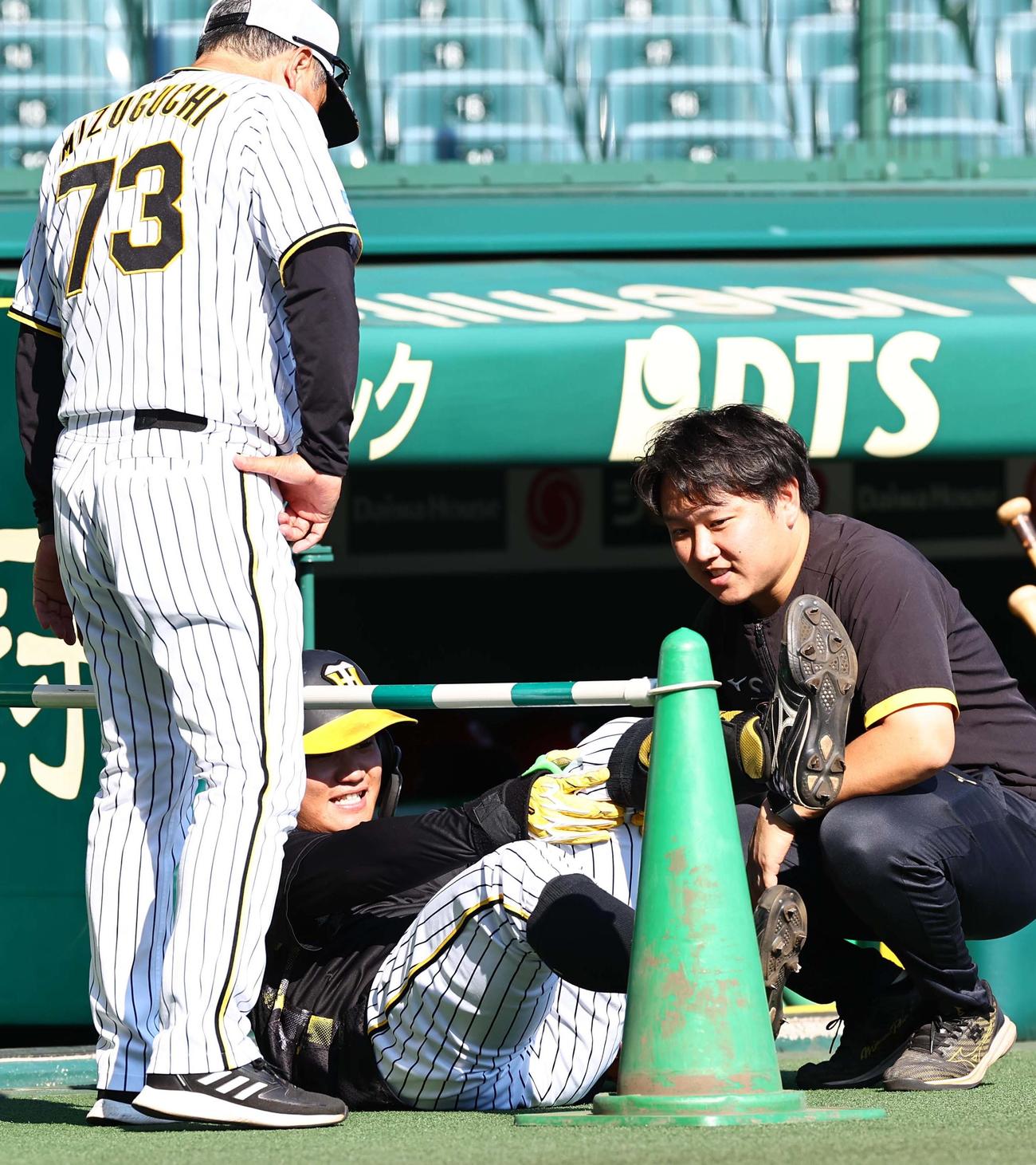 阪神対広島　フリー打撃練習で自打球を当てた森下は左膝を押さえて倒れ込む（撮影・上田博志）