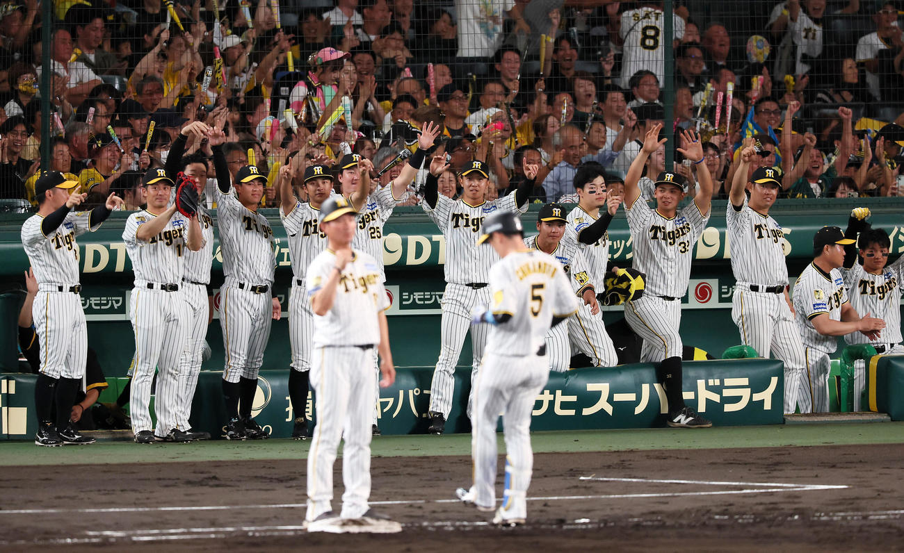 阪神対広島　4回裏阪神2死二、三塁、近本の勝ち越し適時打にベンチで盛り上がる選手たち（撮影・加藤哉）