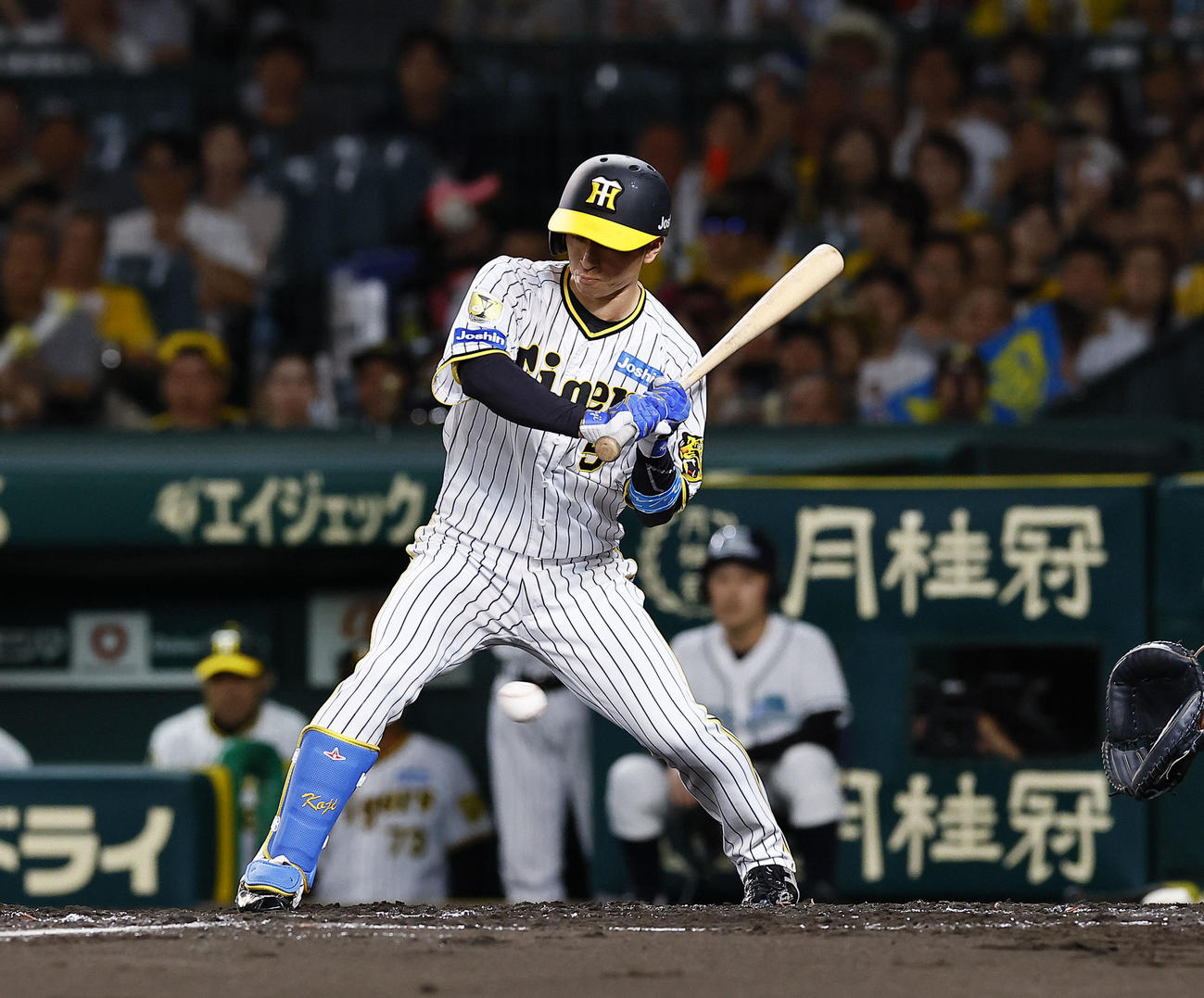阪神対広島　2回裏阪神2死満塁、近本は押し出しの四球を選ぶ（撮影・藤尾明華）