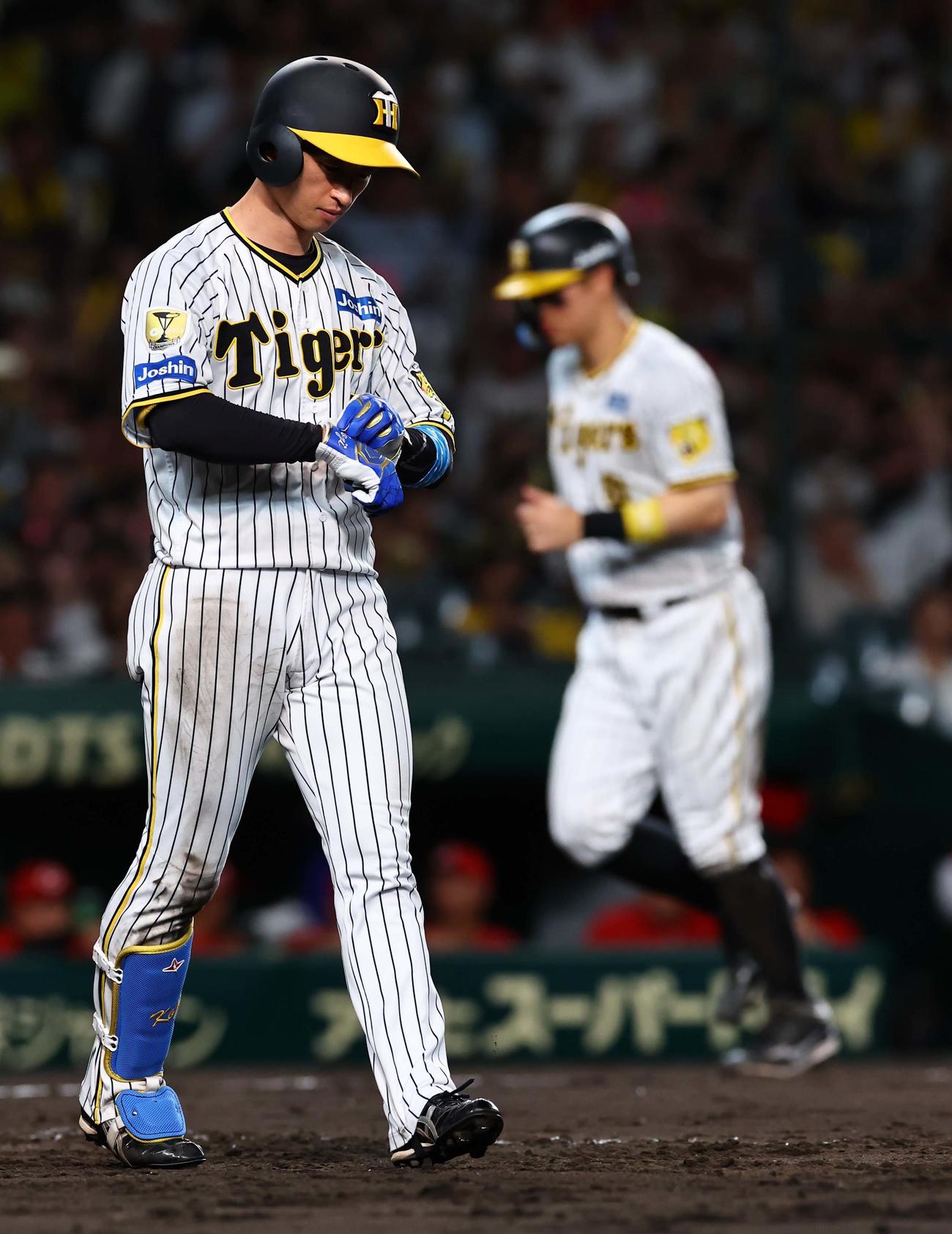 阪神対広島　5回裏阪神2死満塁、近本は押し出し四球を選ぶ（撮影・上田博志）