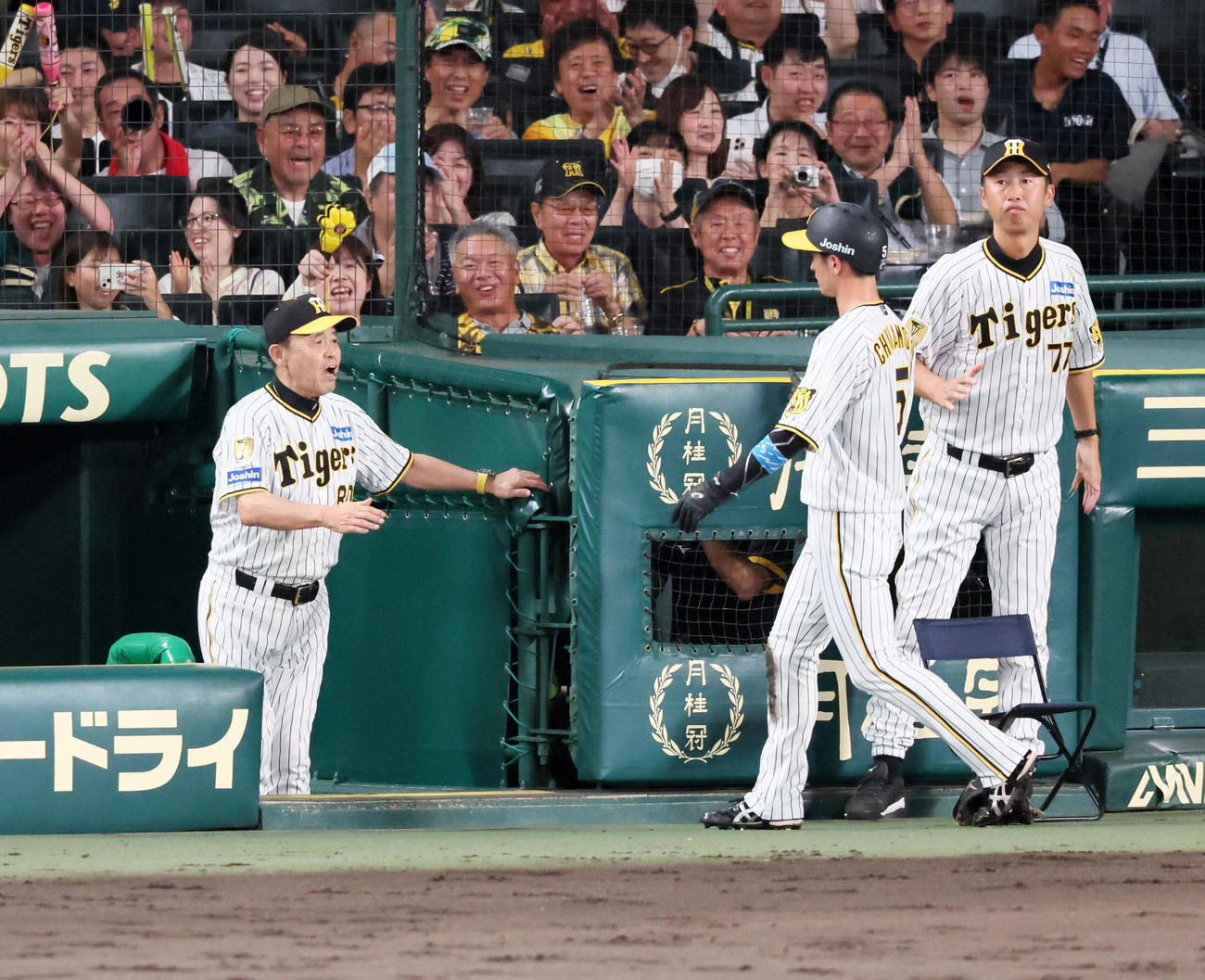 阪神対広島　4回裏阪神2死一、三塁、岡田監督（左）は森下の敵失で生還した三塁走者近本を迎える（撮影・加藤哉）