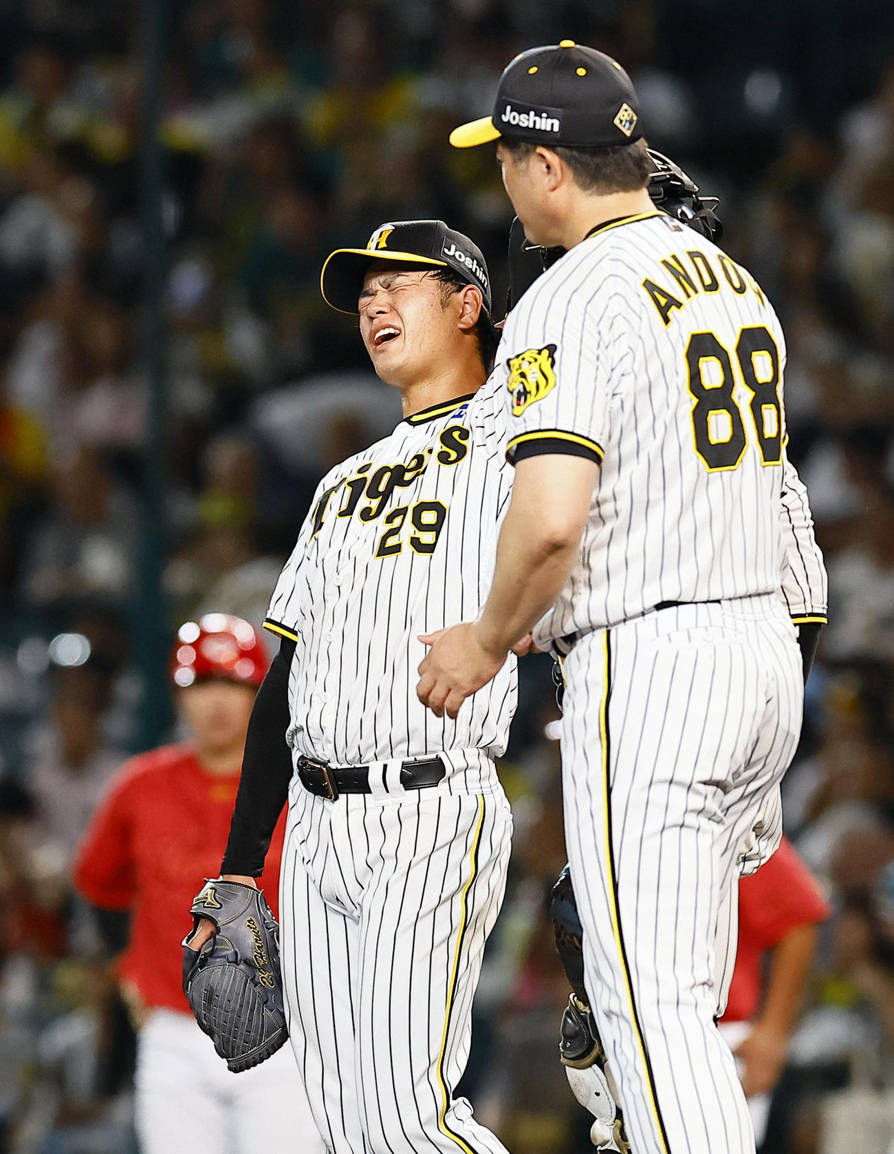 阪神対広島　6回表広島2死一、二塁、交代を告げられ悔しそうにする高橋（撮影・藤尾明華）