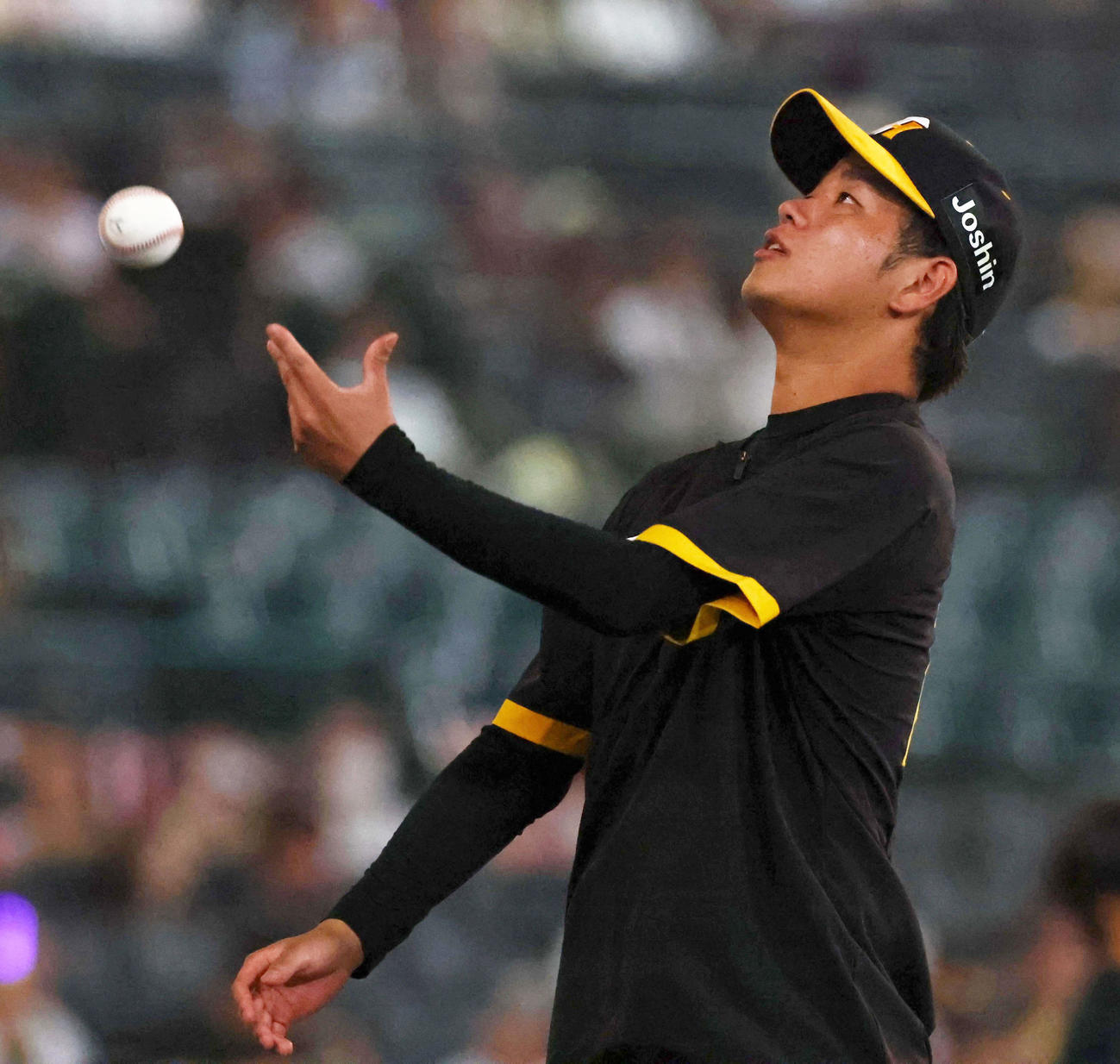 阪神対広島　4勝目をあげた高橋は勝利球をスタンドに投げ入れる（撮影・上田博志）