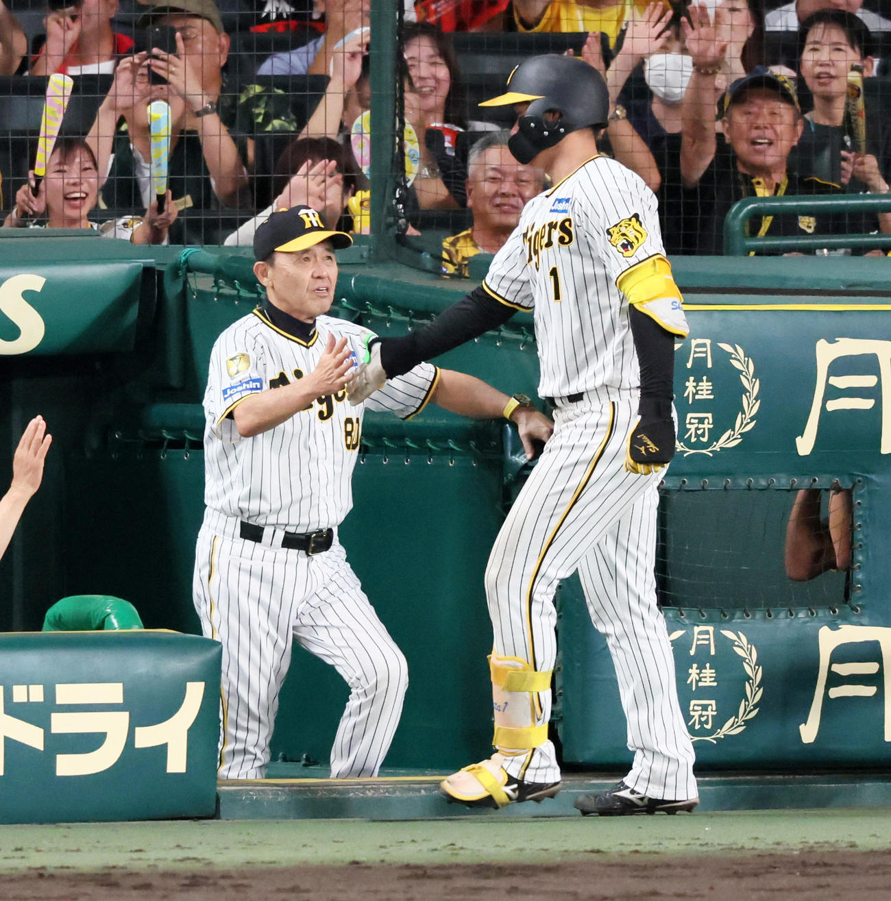 阪神対広島　7回裏阪神2死、岡田監督は左越えソロ本塁打を放った森下を出迎える（撮影・加藤哉）