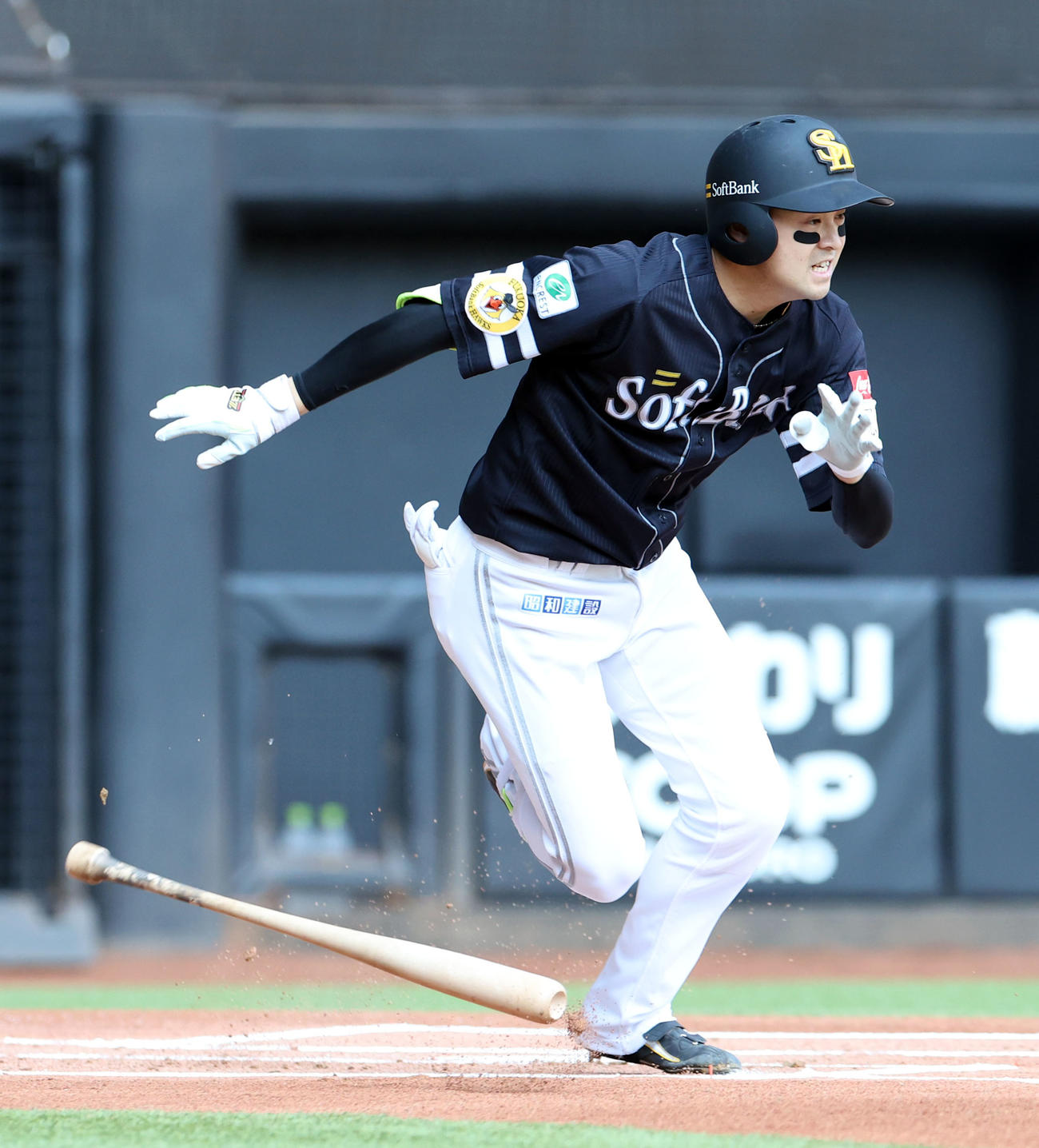 ソフトバンク川瀬晃（2024年6月29日撮影）