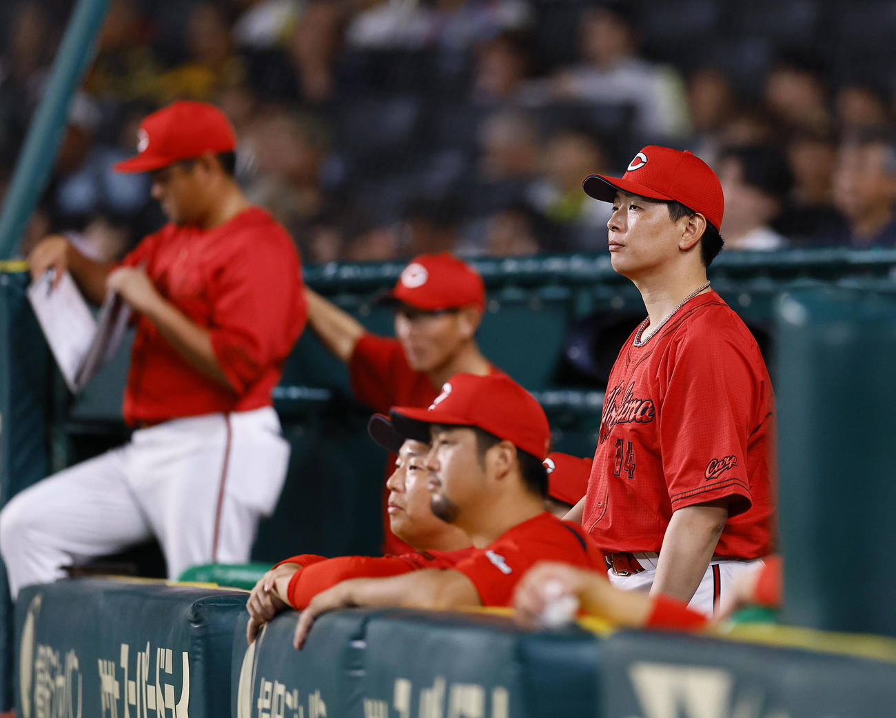 阪神対広島　8回、ベンチから試合を見つめる広島大瀬良（撮影・藤尾明華）