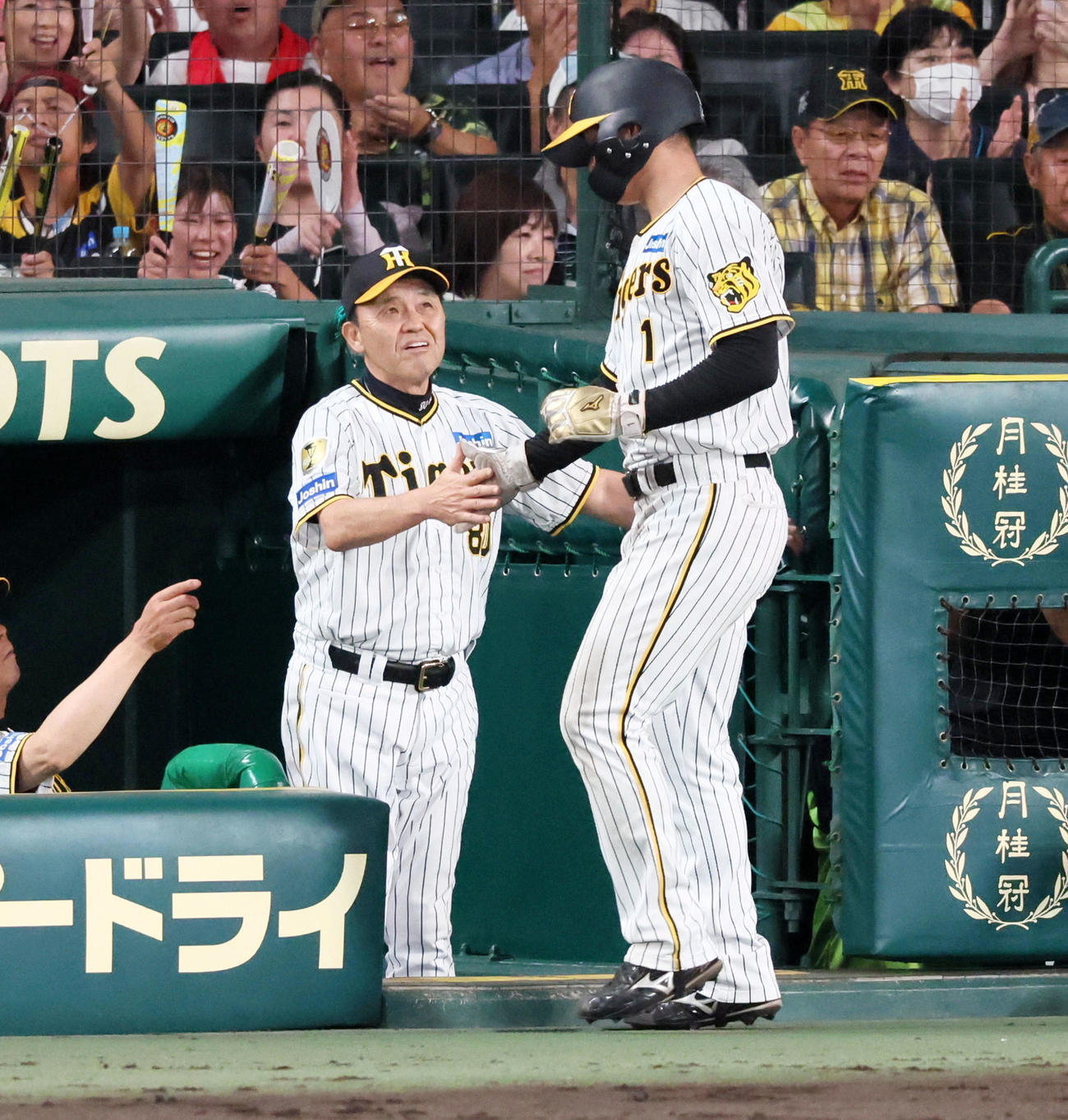 阪神対広島　6回裏阪神1死一、二塁、前川の右適時二塁打で生還した二塁走者森下を出迎える岡田監督（撮影・加藤哉）