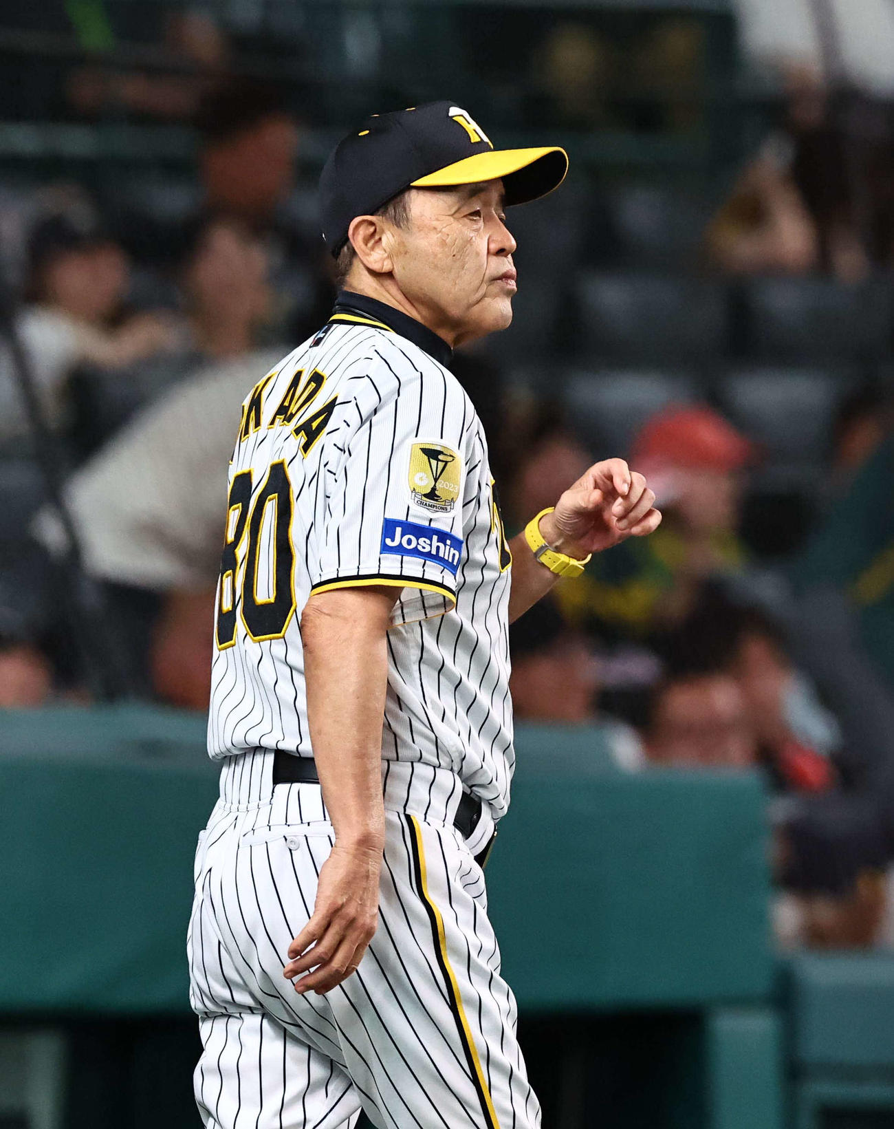 阪神対広島　選手交代を告げる岡田監督（撮影・上田博志）
