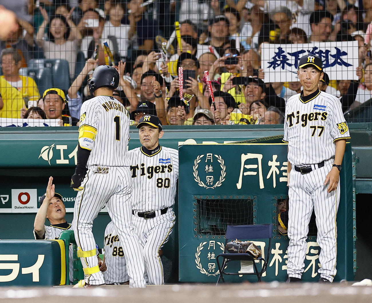 阪神対広島　7回裏阪神2死、森下は左越えに本塁打を放阪神対広島　7回裏阪神2死、左越えに本塁打を放った森下を出迎える岡田監督（撮影・藤尾明華）