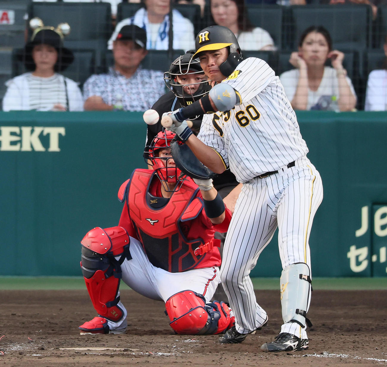 阪神対広島　9回裏阪神1死一塁、代打小野寺は死球を受ける（撮影・加藤哉）