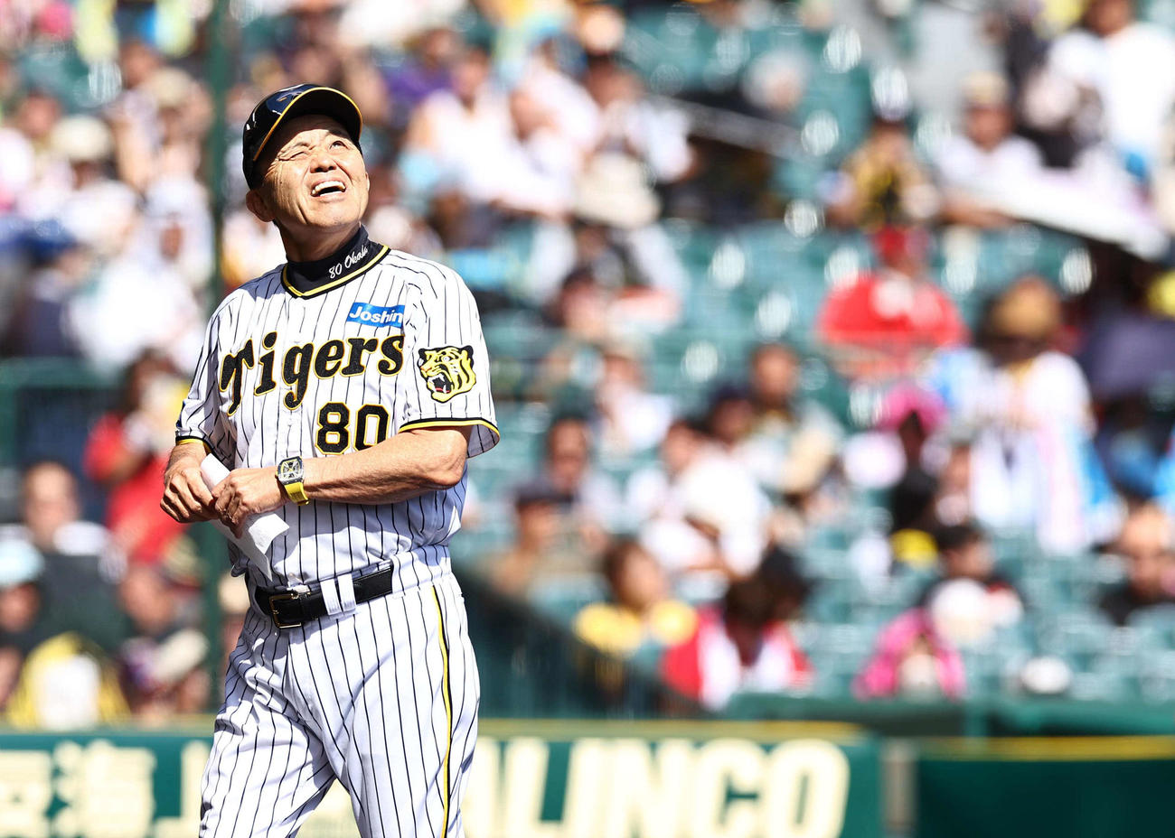 阪神対広島　照りつける太陽をまぶしそうに見上げる阪神岡田監督（撮影・上田博志）