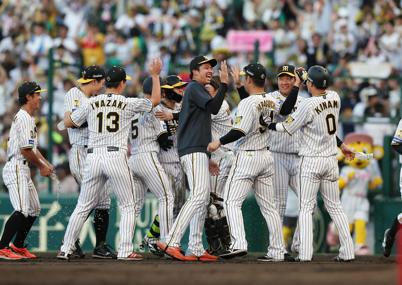 阪神対広島　9回裏阪神2死一、三塁、中野の適時打でサヨナラ勝ちし、タッチを交わして喜ぶ才木（中央）ら阪神ナイン（撮影・前田充）