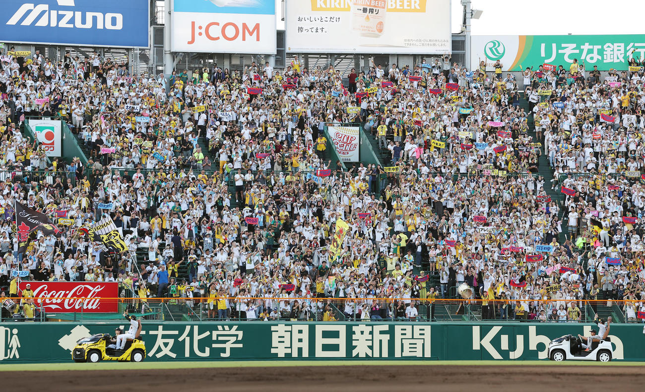 阪神対広島　場内1周する阪神原口（左）、中野と喜ぶファンたち（撮影・前田充）