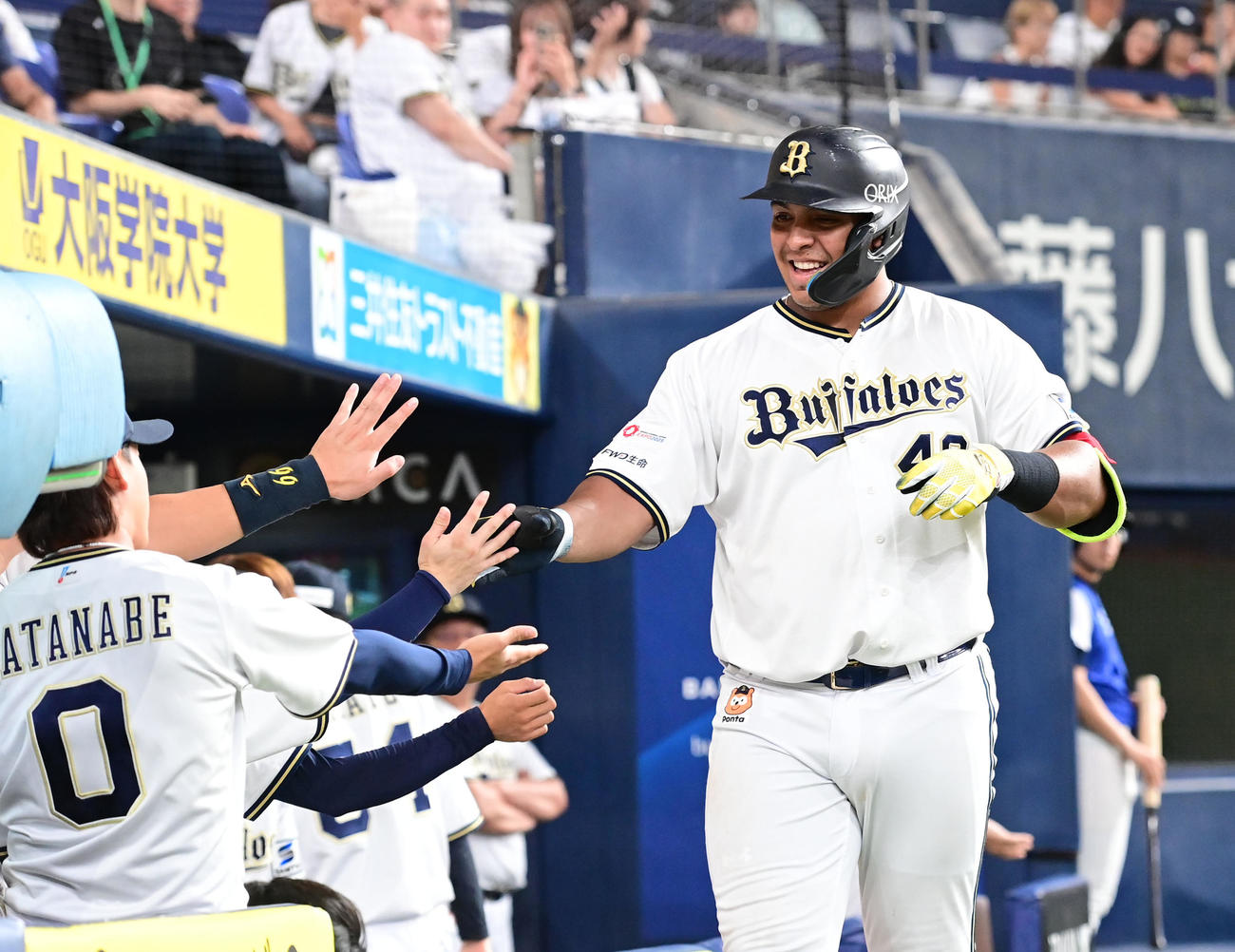 オリックス対ソフトバンク　7回裏オリックス無死、左越え本塁打を放ちナインとタッチするセデーニョ（撮影・和賀正仁）